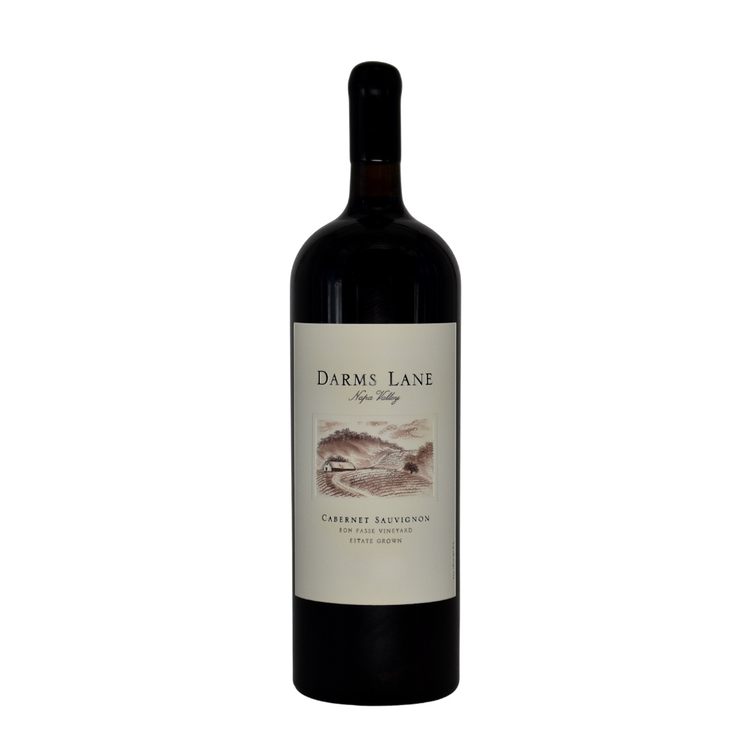 Product Image for 2009 Bon Passe Cabernet Sauvignon 1.5L With Etched Label